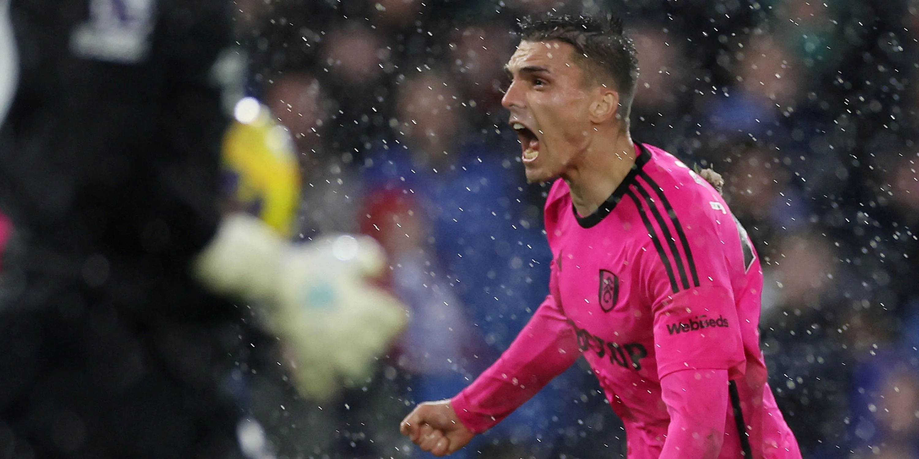 Tiền vệ phòng ngự Joao Palhinha, mục tiêu tiềm năng củng cố tuyến giữa cho Tottenham.